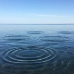 demokratische Wirksamkeit