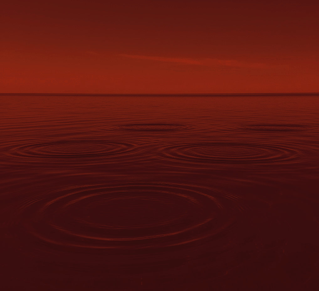 The House is Burning